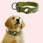 AirTag Adjustable Dog Collar Holder